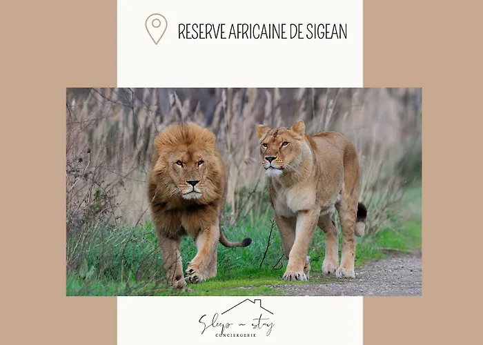 Apartment Le Jardin Carcassonne